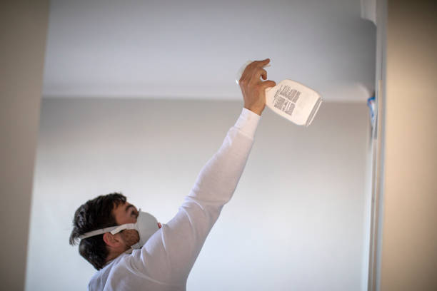 Best Commercial Mold Remediation in Cabin John, MD