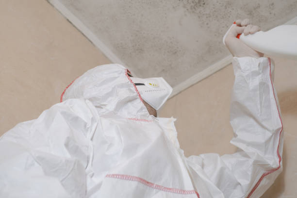 Best Residential Mold Remediation in Cabin John, MD