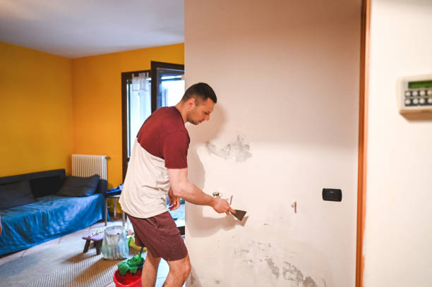 Best Residential Mold Remediation in Cabin John, MD